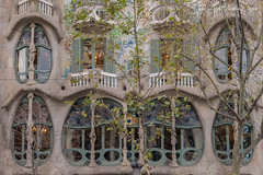 Casa Batlló (Antoni Gaudi's masterpiece) First floor, Barcelona, Spain with DMC GX7