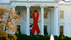 Commemorative Red Ribbon White House 2014 World AIDS Day 50175