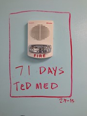 TEDMED 71 Days