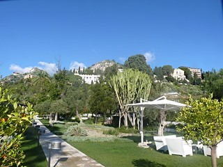 Taormina - Il parco degli ulivi dell'Hotel "Villa Mon Repos"