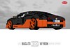 Bugatti Veyron Super Sport (1:15)