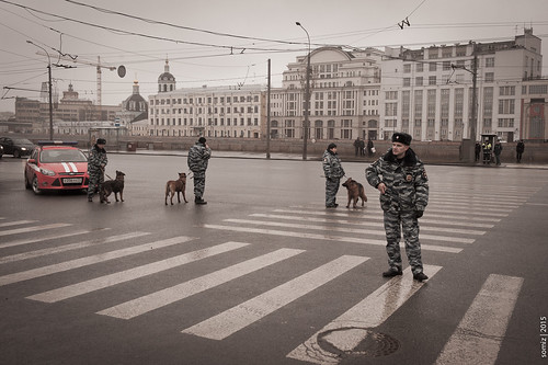Police Dogs ©  Evgeniy Isaev