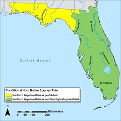 Florida map - bass genetics rule
