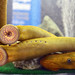 Duluth Boat Show - Sea Lamprey Booth