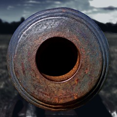 Fort Vancouver Cannon