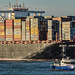Containerschip MSC Oscar & Patrouillevaartuig P6 - Zeehavenpolitie - Maasmond - Port of Rotterdam