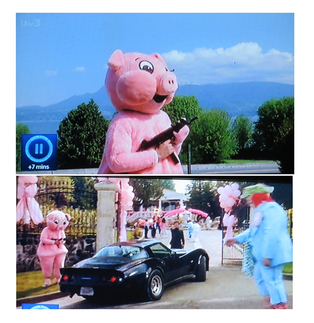 2015_01_040014 - pig on guard