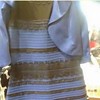 Personally, I see both #whiteandgold and #blackandblue depending on how the light changes. Wow! Whoever made this #dress is a #genius! What colors do you see?! #DressControversy #both #whiteandgold #blackandblue #TheDress #fashion #dresses #outfit #illusi