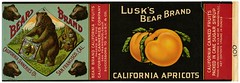 California apricots label, Lusk’s Bear Brand, Lehmann Printing and Lithographing Co.