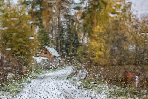 the first snow in our village ©  Dmitry Karyshev