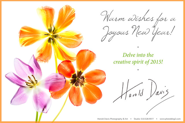 Warm wishes for a joyous New Year! Delve into your creative spirit in 2015…