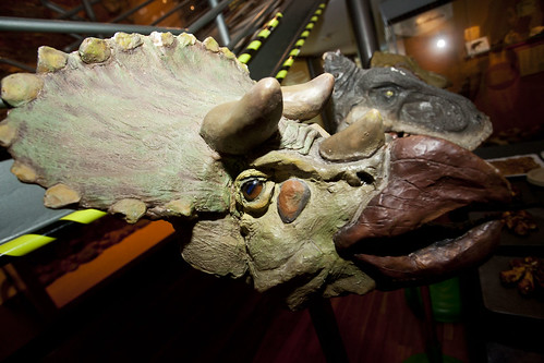 Comete el Museo - Dinosaurios