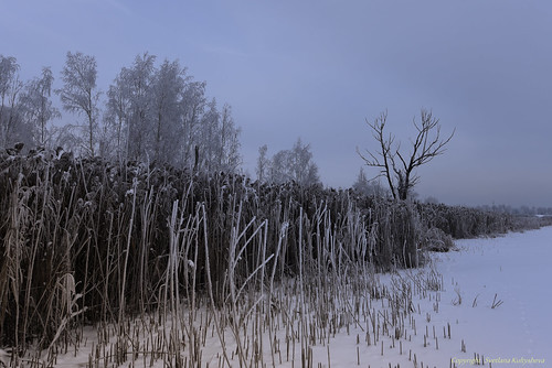 Frost ©  nordliht