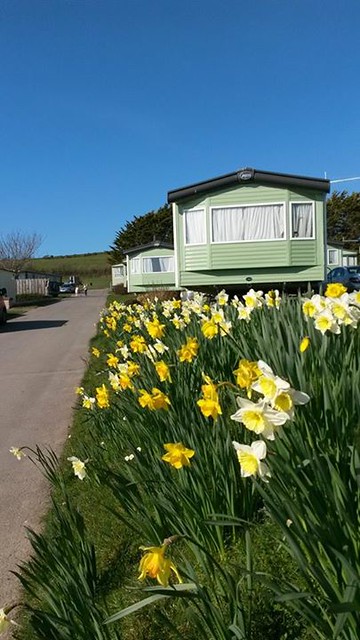 Spring is here at last! To the celebrate the Spring Equinox and my daughter Ostaras birthday (whos name is the pagan meaning of Spring Equinox) weve come away to Croyde for the weekend. It may only be a few miles from home, but it is beautiful (and I :
