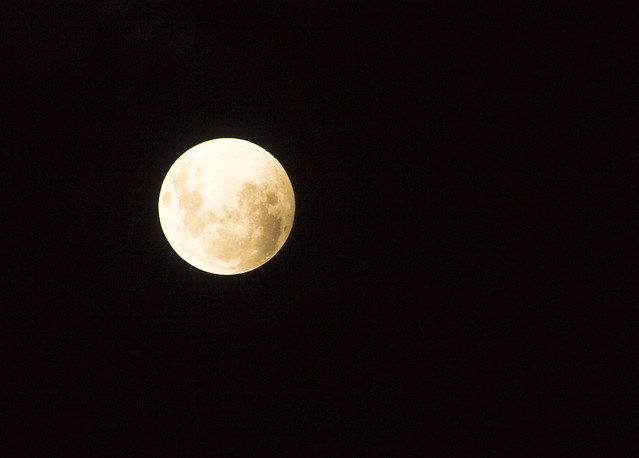 Luna Eclipse (04.04.2015) 16-7768