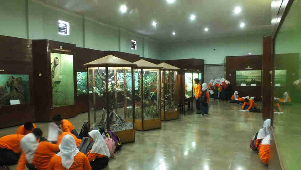 Bogor Zoology Museum