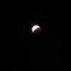 正在被吃掉！  #moon #eclipse #totallunareclipse