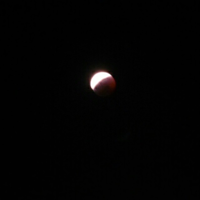 正在被吃掉！  #moon #eclipse #totallunareclipse