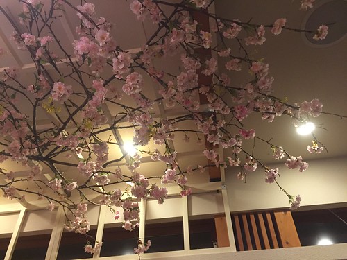 スタバ上野恩賜公園の桜