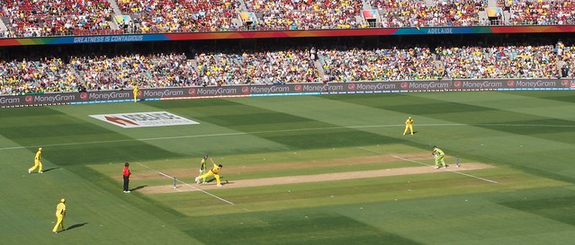 ICC World Cup quarter-final: Australia v Pakistan (4)