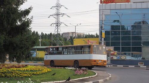 Saratov bus Ikarus-260 А 211 АК 164 ©  trolleway