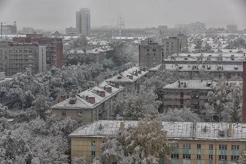the third day of the first snow ©  Dmitry Karyshev