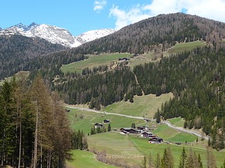 In und um  St. Gertraud (S. Gertrude in Val d'Ultimo)  im Ultental  (Val d'Ultimo) in Südtirol (AltoAdige) - Italien > Blick ins Tal der Falschauer
