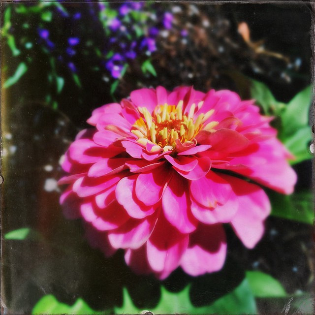 Earth Day Bouquet #makebeautiful