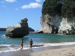 Cathedral Cove <a style="margin-left:10px; font-size:0.8em;" href="http://www.flickr.com/photos/83080376@N03/16835706940/" target="_blank">@flickr</a>