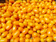 Tomate Mini San Marzano Orange, France