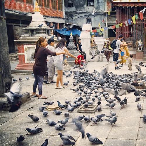   2009   ...    #Travel #Memories #2009 #Kathmandu #Nepal #Buddhist #Shrine #Kind #Peoples #Pigeons #PrayForNepal ©  Jude Lee