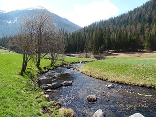Im Tal der Falschauer um  St. Gertraud (S. Gertrude in Val d'Ultimo)  im Ultental  (Val d'Ultimo) in Südtirol (AltoAdige) - Italien