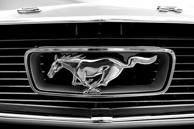 horse white black ford silver letters front grill chrome 24mm mustang 5diii