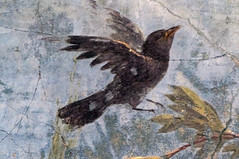 Painted Garden, Villa of Livia, detail with blackbird