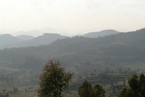 Nyanza Hills