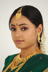 South actress MADHUCHANDAPhotos Set-3-HOT IN TRADITIONAL DRESS (15)