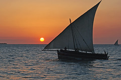 Zanzibar_2012 06 05_4476