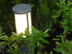 ③植栽の中で灯る円柱状の照明