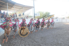 1349. Escaramuza _Las Herraderas_, de Reynosa.
