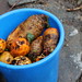 Tubers fed to cattle for good health • <a style="font-size:0.8em;" href="http://www.flickr.com/photos/62152544@N00/7255431270/" target="_blank">View on Flickr</a>