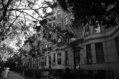 Crown Heights Rowhouses • <a style="font-size:0.8em;" href="http://www.flickr.com/photos/59137086@N08/7360497436/" target="_blank">View on Flickr</a>