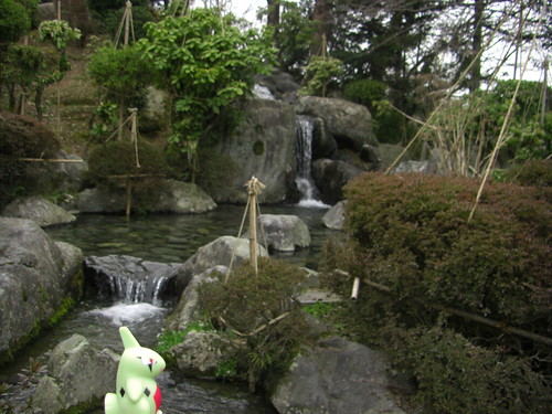 Larvitar in Sabae, Fukui 22 (Nishiyama park)