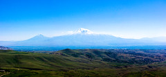 Looking at Ararat