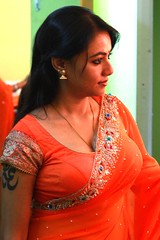 South actress MADHUCHANDAPhotos Set-3-HOT IN TRADITIONAL DRESS (38)