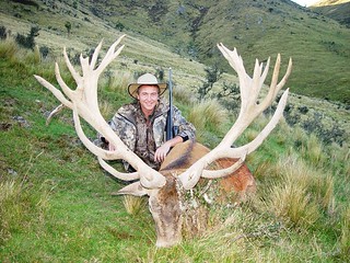 New Zealand Red Stag Hunting - Christchurch 35
