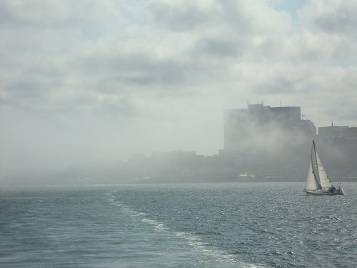 Harbour fog