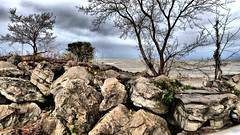 ~Rocky coast along Lake Ontario~