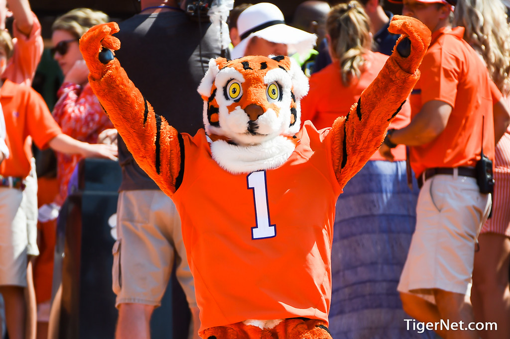 Clemson Football Photo of The Tiger and troy