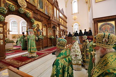56. St. John, recluse of Svyatogorsk Monastery / Прп. Иоанна Затворника