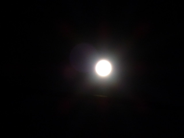 お月様。ほぼ満月のようです。